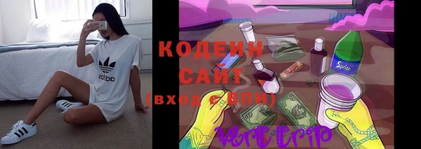прущие крисы Елизово