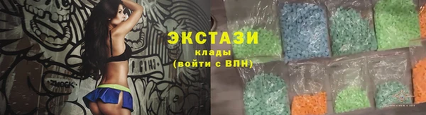 гашик Ельня