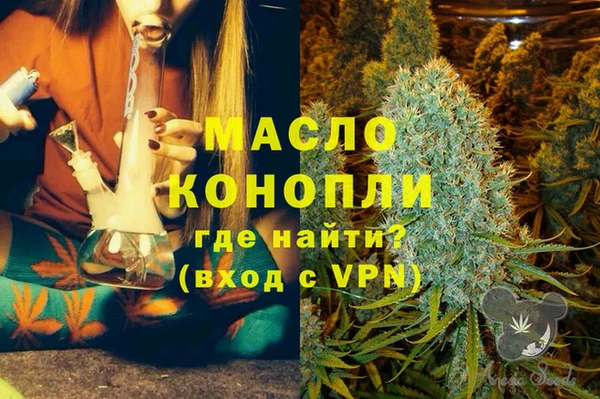 гашик Ельня