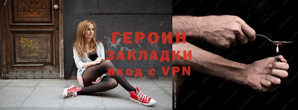 гашик Ельня