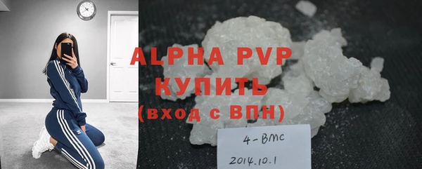 гашик Ельня