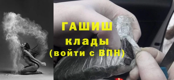 гашик Ельня