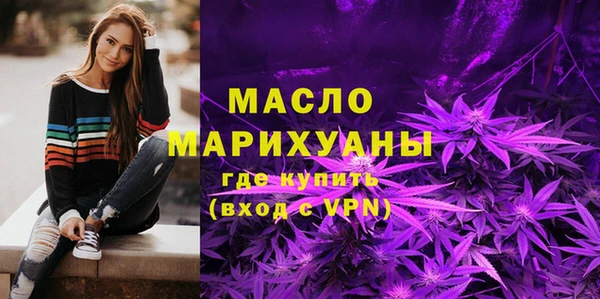 гашик Ельня