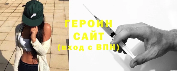 гашик Ельня