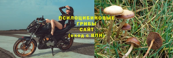 не бодяженный Елабуга