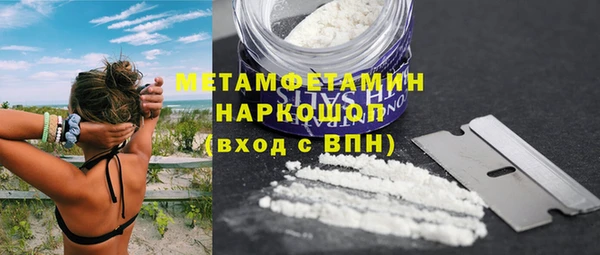 гашик Ельня
