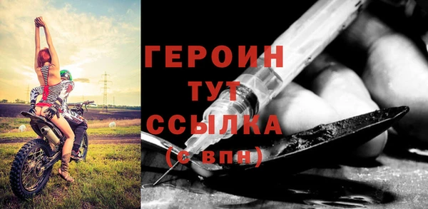 гашик Ельня