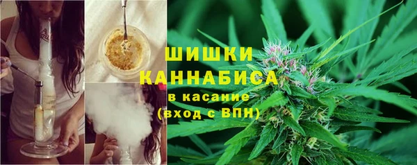 прущие крисы Елизово