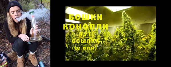 гашик Ельня