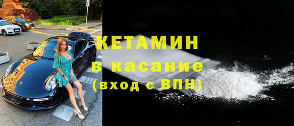 гашик Ельня