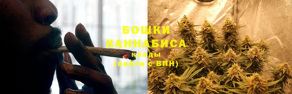 гашик Ельня