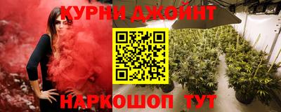 дмт Ярославль